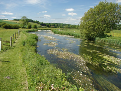 River Avon June